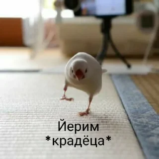⚜ emoji 🔱Золотая Орда🔱 Telegram sticker 6 of 41