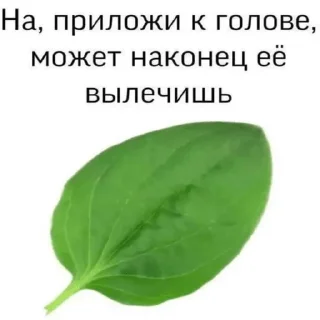 🤌 emoji Стик Telegram sticker 21 of 25