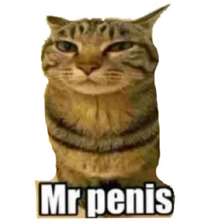Sticker from Mr_penis