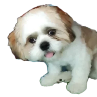 Sticker from Мсм