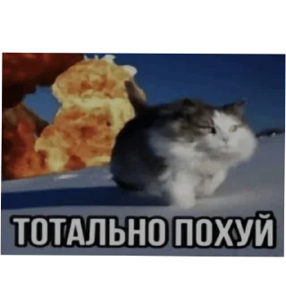 🐱 emoji Pulsik pack Telegram sticker 9 of 120