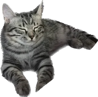 🥸 emoji Маркус на связи Telegram sticker 5 of 12
