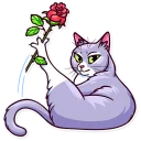 🌹 emoji Meme Cats Telegram sticker 6 of 40