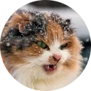 😔 emoji cats @TVstickers Telegram sticker 16 of 117