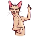 🖕 emoji Meme Cats Telegram sticker 24 of 40