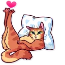 😊 emoji Meme Cats Telegram sticker 12 of 35