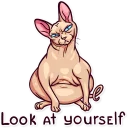 😑 emoji Meme Cats Telegram sticker 16 of 40