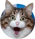 😁 emoji cats @TVstickers Telegram sticker 5 of 117