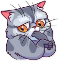 😒 emoji Meme Cats Telegram sticker 16 of 35