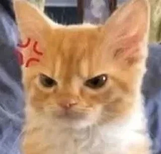 😡 emoji Кітики Telegram sticker 20 of 116