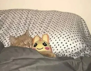 😪 emoji Кітики Telegram sticker 15 of 116