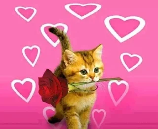 🌹 emoji Кітики Telegram sticker 23 of 116