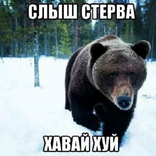 😤 emoji Резня Telegram sticker 24 of 120