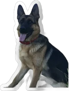🌟 emoji Gerda_dog🐺 Telegram sticker 23 of 38