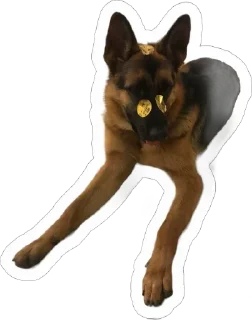 🌟 emoji Gerda_dog🐺 Telegram sticker 16 of 38