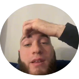 ☝️ emoji PP Видеостики Telegram sticker 14 of 56
