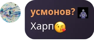 😘 emoji РЕЙД 24/7 Telegram sticker 21 of 29