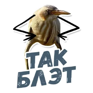 Sticker from 🙈Are you sure? @stickersb2b