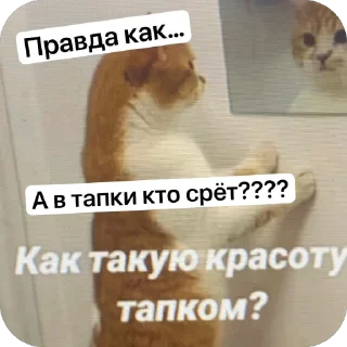 🫥 emoji стикеры сёмы~<3 Telegram sticker 13 of 26