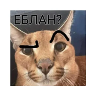 🤔 emoji Sexy Telegram sticker 6 of 20