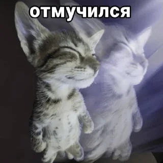 Sticker from шкибиди