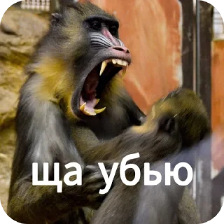 👿 emoji Ты Не Шкибиди! @gif_makaka Telegram sticker 16 of 43