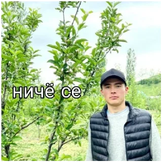 🤔 emoji Краш Telegram sticker 7 of 17
