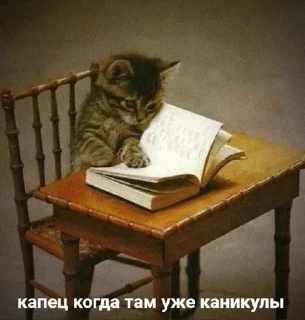 🌟 emoji бебрята Telegram sticker 14 of 120
