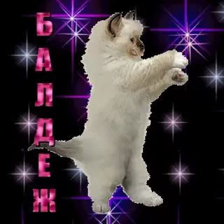 🥳 emoji Приятного аппетита! Telegram sticker 18 of 20