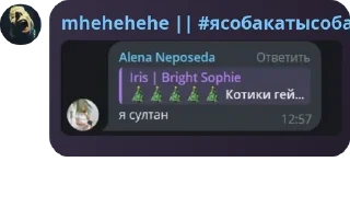 💧 emoji 🐈 🐱 -Долина меринов- 🐈‍⬛ pack by @QuotLyBot Telegram sticker 20 of 118