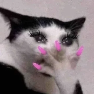 💅 emoji Bitches Telegram sticker 8 of 25