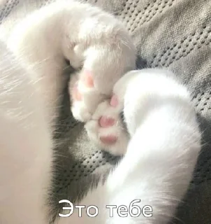 🤌 emoji что это вообще Telegram sticker 5 of 120