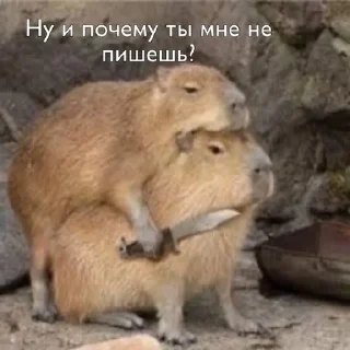 🤌 emoji что это вообще Telegram sticker 6 of 120