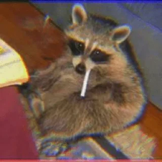 🚬 emoji Жопа Telegram sticker 7 of 53