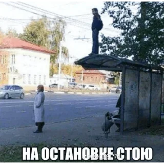 😎 emoji Жопа Telegram sticker 23 of 53