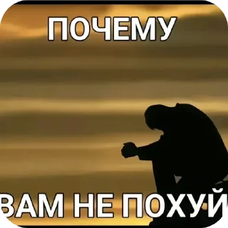 🖼 emoji жопа @silly_salt Telegram sticker 8 of 16