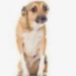 😦 emoji FUCKIN CATS Telegram sticker 20 of 94
