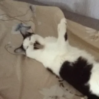 😝 emoji чупапи муняни Telegram sticker 17 of 33