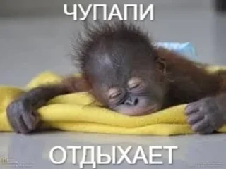 💤 emoji чупапи муняня Telegram sticker 12 of 50