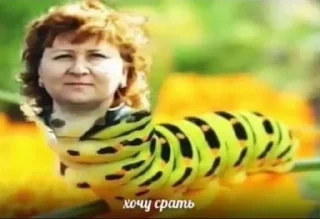 🐛 emoji чупапи муняня Telegram sticker 14 of 50