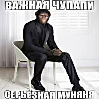 👨‍💼 emoji чупапи муняня Telegram sticker 1 of 50