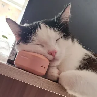 😴 emoji чупапи муняни Telegram sticker 19 of 33