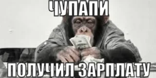 🤑 emoji чупапи муняня Telegram sticker 21 of 50