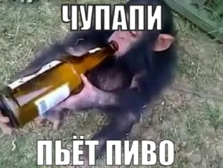 🍺 emoji чупапи муняня Telegram sticker 22 of 50