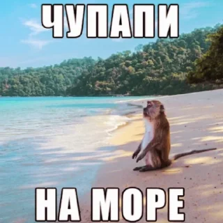 🧜‍♂ emoji чупапи муняня Telegram sticker 3 of 50
