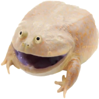 😃 emoji жабки!! Telegram sticker 7 of 89