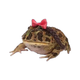 🎀 emoji жабки!! Telegram sticker 15 of 89