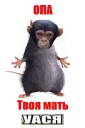 🌚 emoji оп, твоя мать...... Telegram sticker 3 of 74