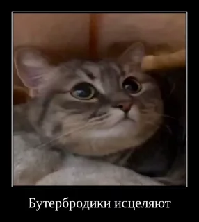 ❤️ emoji Комарки pt3 @not_a_dude Telegram sticker 18 of 28