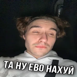 🧩 emoji Хозяева твича 🥶🥶🥶 Telegram sticker 19 of 43
